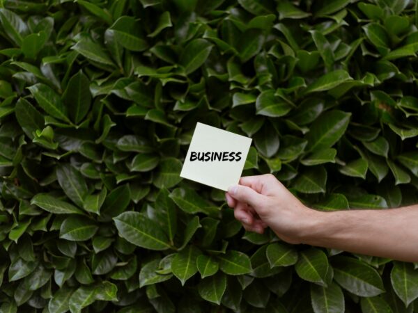 ESG como diferencial competitivo: como as empresas estão transformando práticas em lucro e impacto