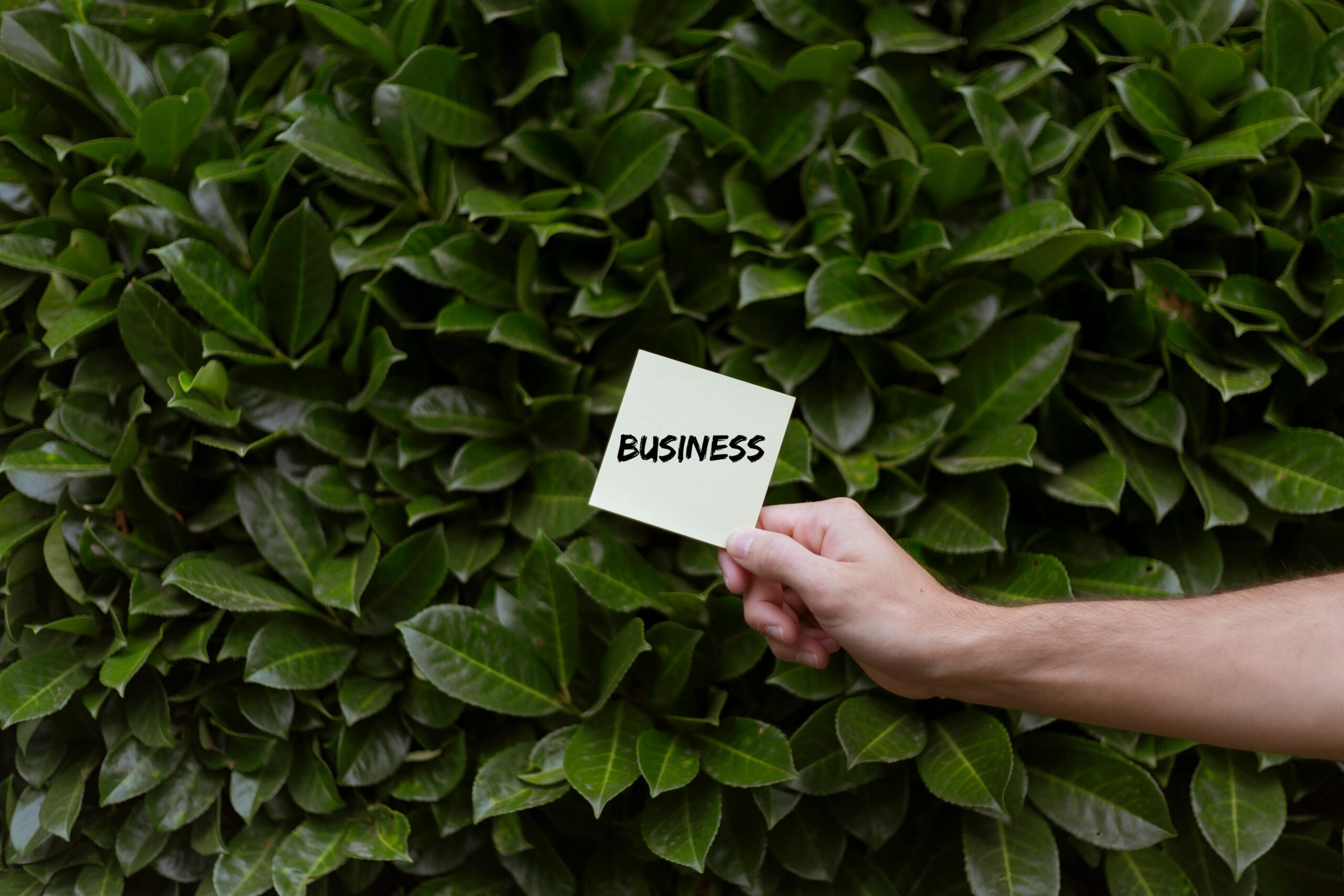 ESG como diferencial competitivo: como as empresas estão transformando práticas em lucro e impacto