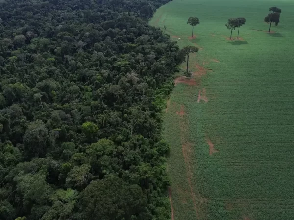 Brics: financiamento climático é responsabilidade de países ricos
