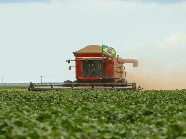 Governo lança Plano Safra de R$ 516,2 bilhões para agronegócio