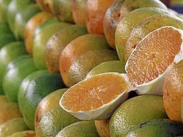 Exceções do tarifaço representam 43,4% do valor exportado aos EUA