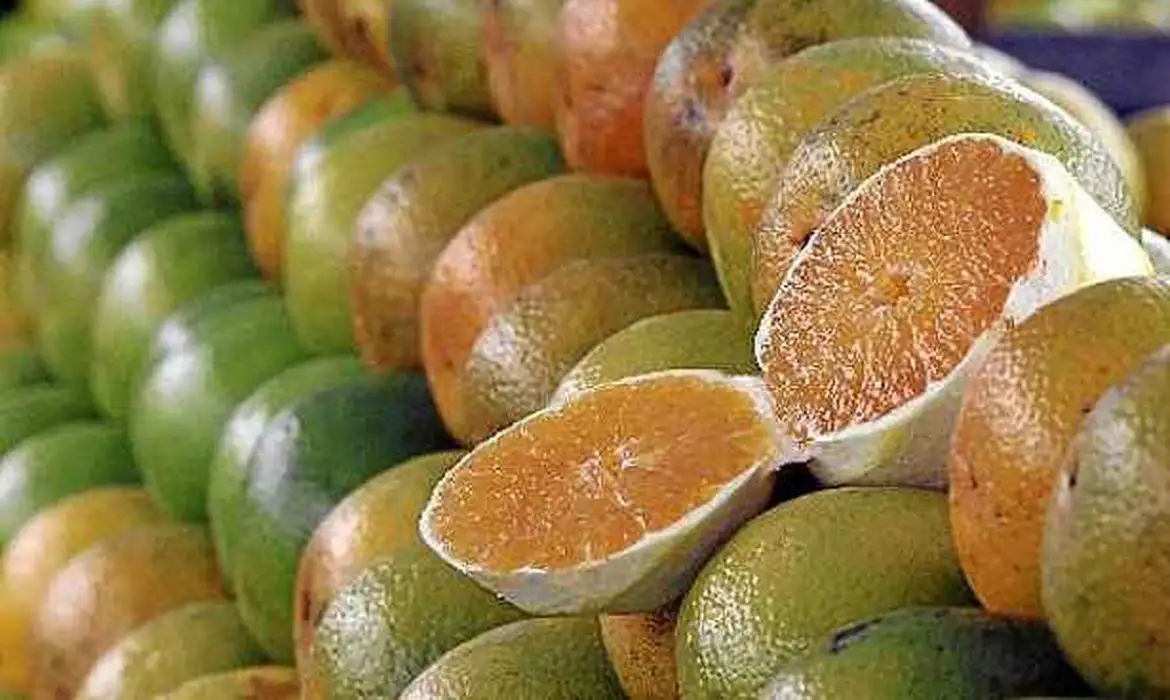Exceções do tarifaço representam 43,4% do valor exportado aos EUA