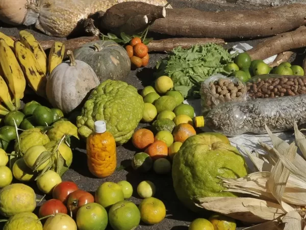 Brasil e México abrem mercados para novos produtos agrícolas