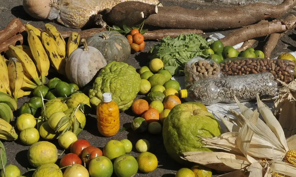 Brasil e México abrem mercados para novos produtos agrícolas