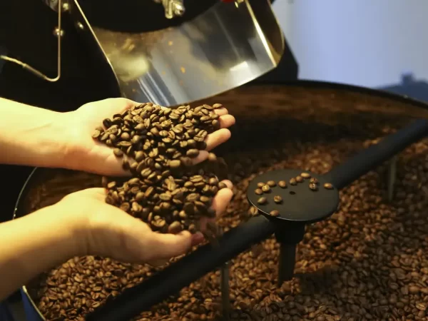 Preço do café cai pela primeira vez depois de 18 meses, diz IBGE