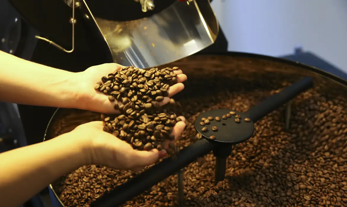 Preço do café cai pela primeira vez depois de 18 meses, diz IBGE