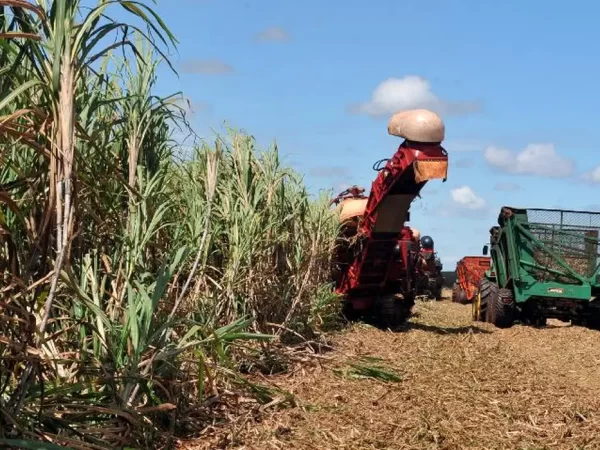 Setor de distribuição de insumos agropecuários fatura R$ 167 bilhões em 2024, aponta pesquisa