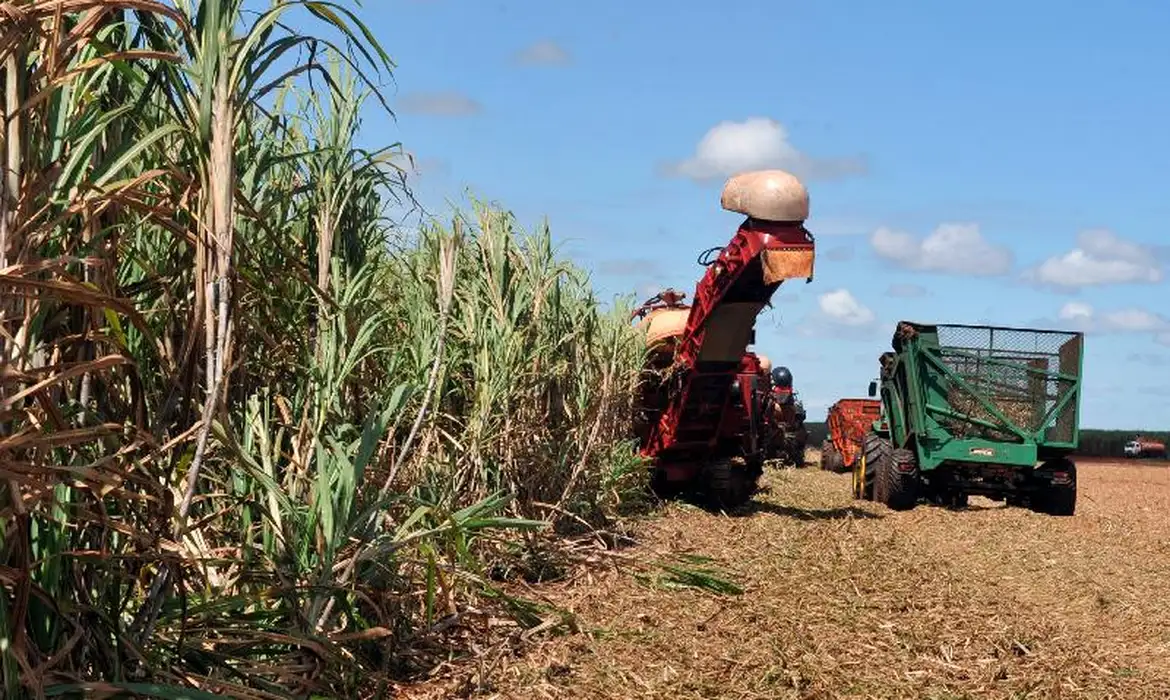 Setor de distribuição de insumos agropecuários fatura R$ 167 bilhões em 2024, aponta pesquisa