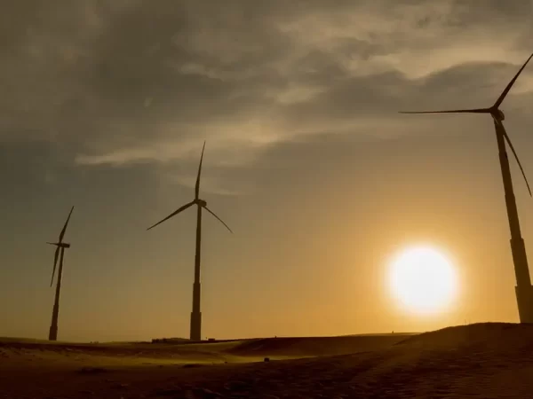 Brasil e mais 16 países assinam carta por transição energética justa