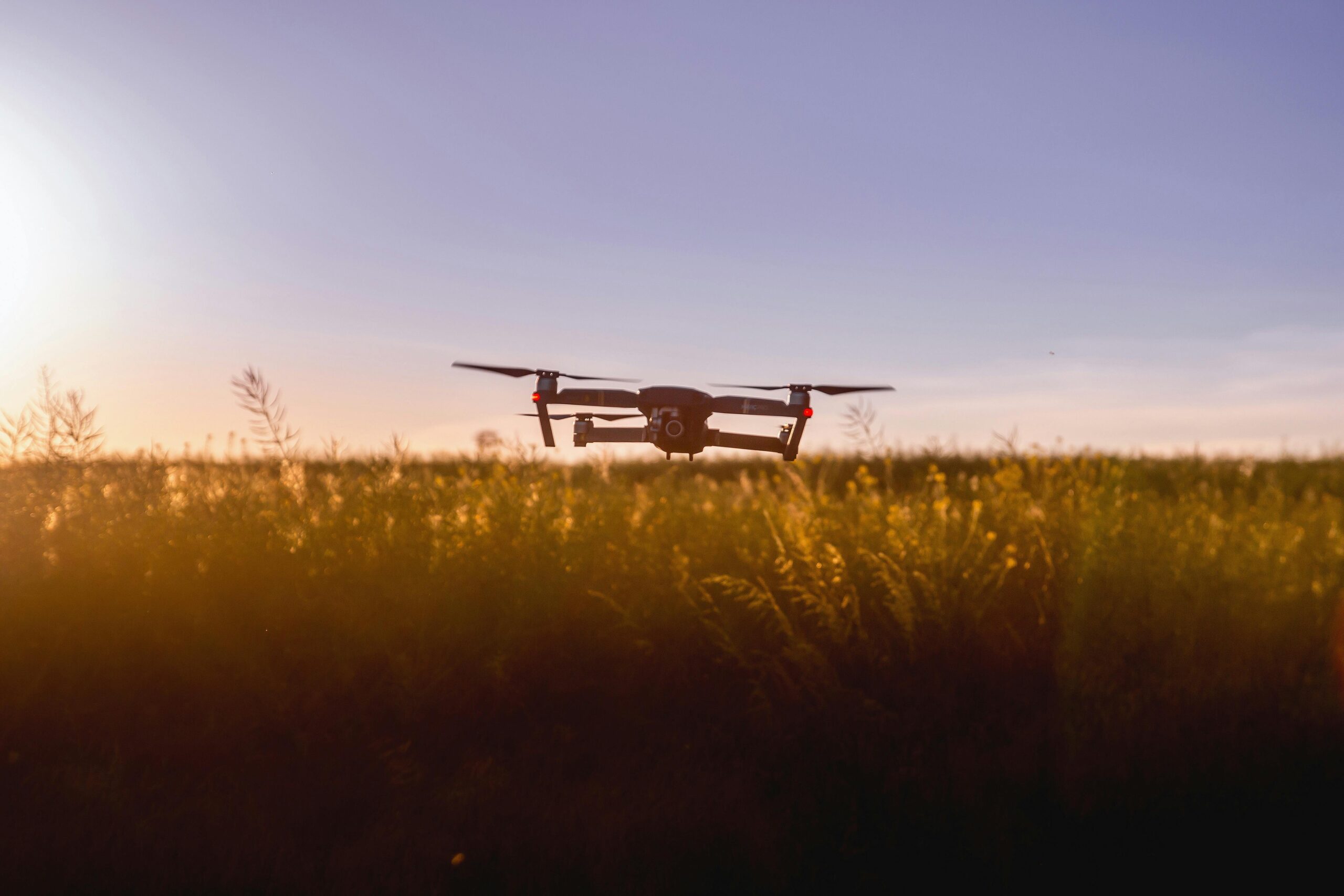 Startups do Agro: inspiração, inovação e desafios no campo brasileiro