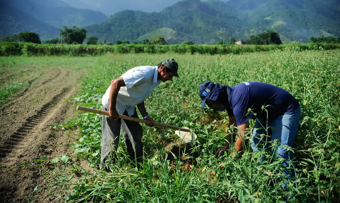 “As variações climáticas podem gerar danos irreversíveis à estabilidade financeira do produtor rural”, afirma especialista do setor sobre importância do Seguro Agrícola