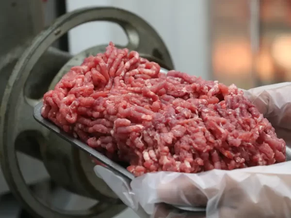 Produção de carnes no Brasil deve crescer 0,4% em 2026 e atinger novo recorde, diz Conab