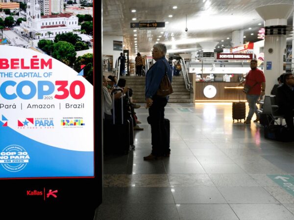 COP30: MEMP, OEI, BNDES e Sebrae criam ferramenta para aumentar acesso ao fundo Clima