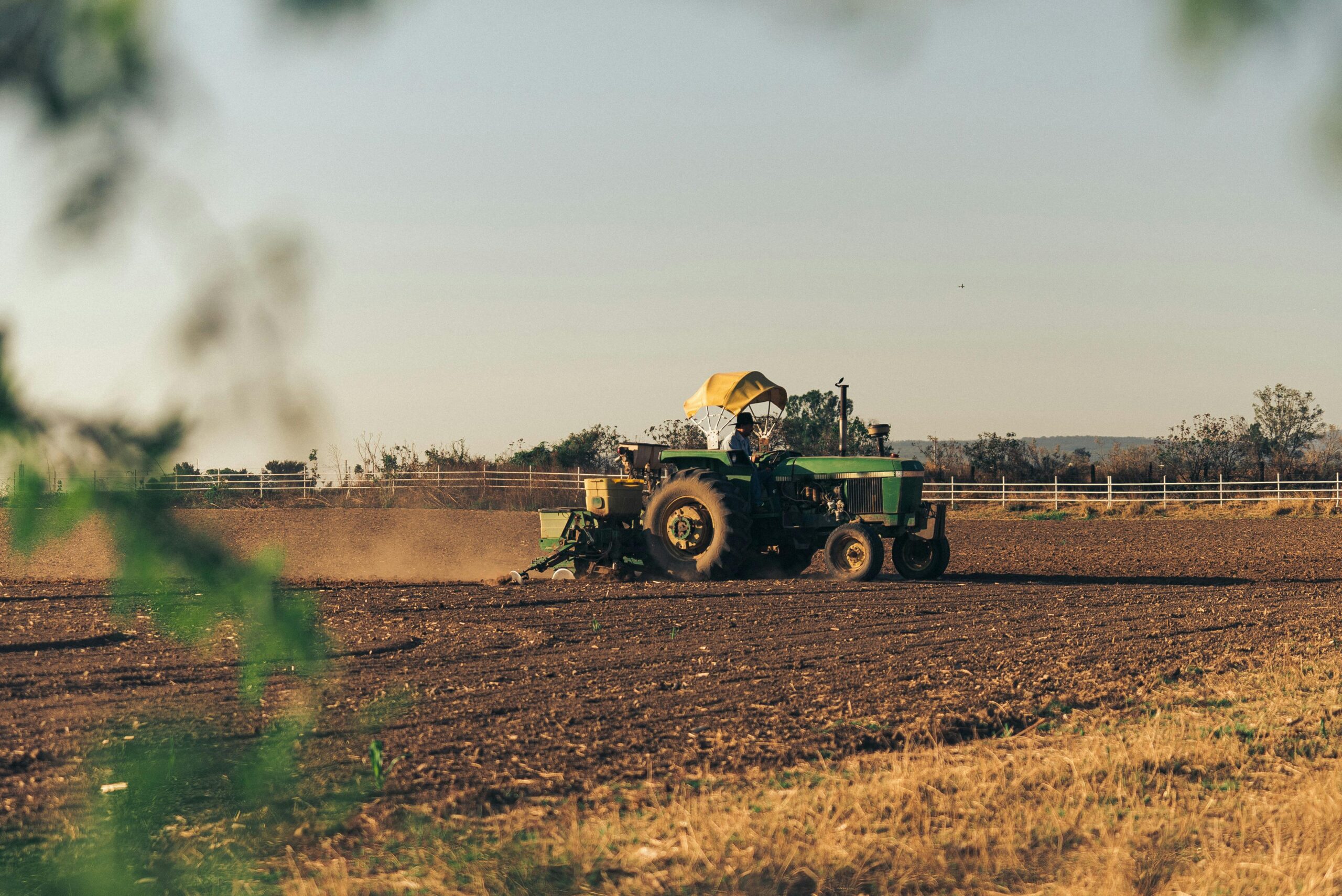 Agro em destaque: as gigantes do campo na Lista Forbes Agro100 2025