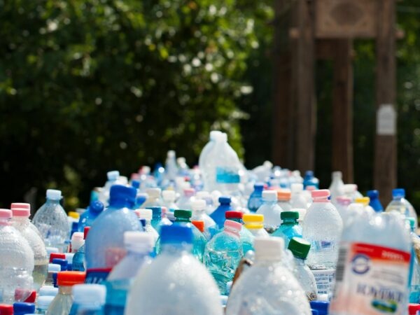 Economia circular com justiça social: MMA lança guia para cidades durante a COP30