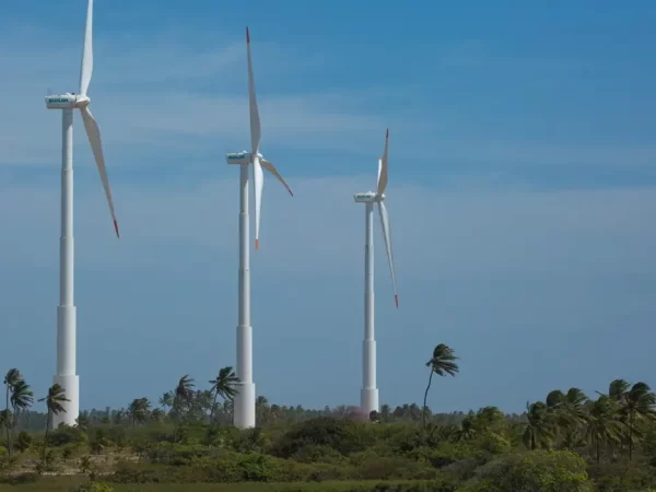 Brasileiros acreditam que economia verde trará novos empregos