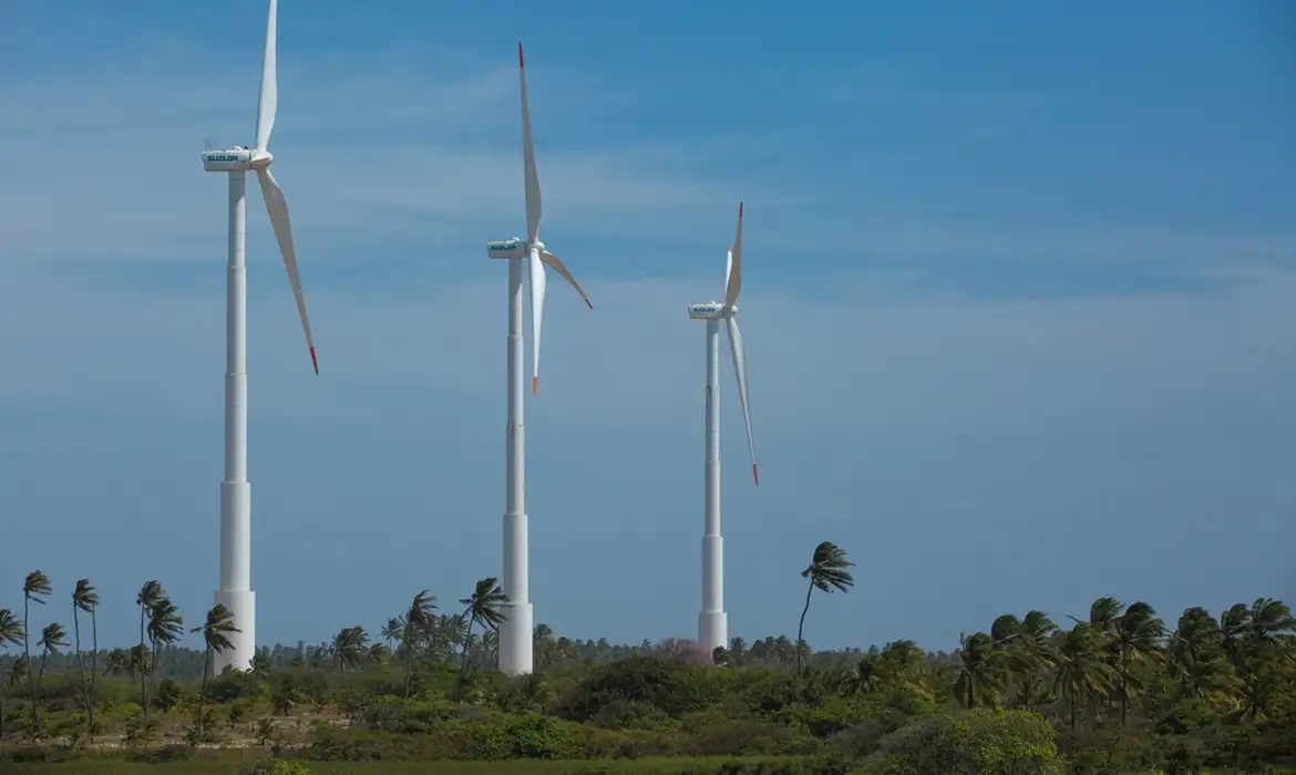 Brasileiros acreditam que economia verde trará novos empregos
