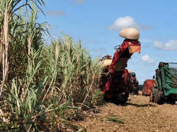 Agropecuária cresce 10,1% no terceiro trimestre de 2025 e impulsiona desempenho do PIB brasileiro