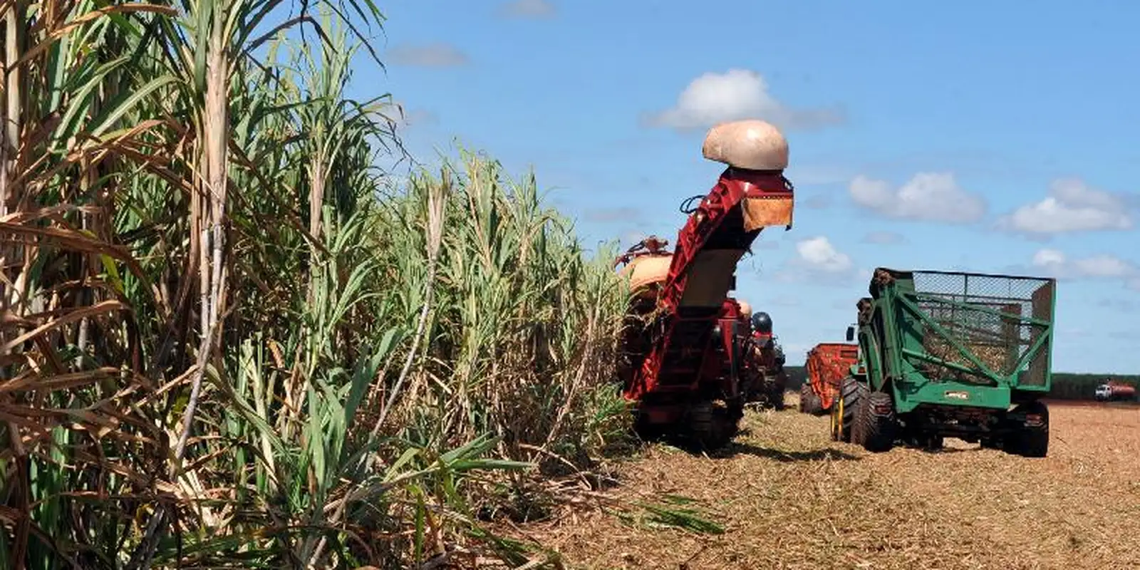 Agropecuária cresce 10,1% no terceiro trimestre de 2025 e impulsiona desempenho do PIB brasileiro