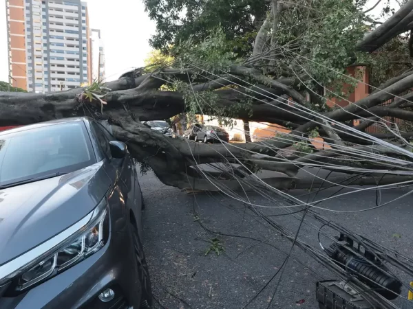 Cinco dias após ciclone, 30 mil clientes estão sem energia em SP