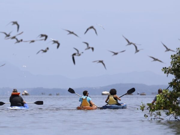 Ecoturismo no Brasil: entre a exuberância natural e os desafios de um setor em expansão