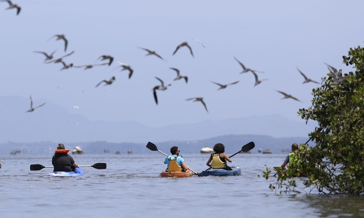 Ecoturismo no Brasil: entre a exuberância natural e os desafios de um setor em expansão