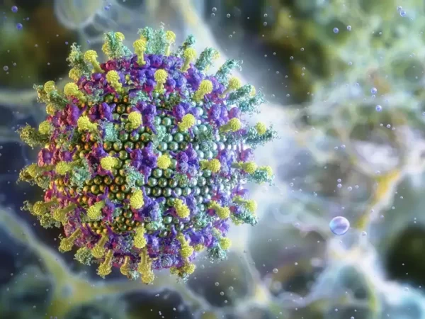 Nipah: saiba mais sobre o vírus que preocupa a Ásia