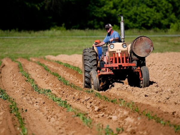 Acordo entre Mercosul e União Europeia amplia acesso a mercados e redefine perspectivas do agronegócio brasileiro