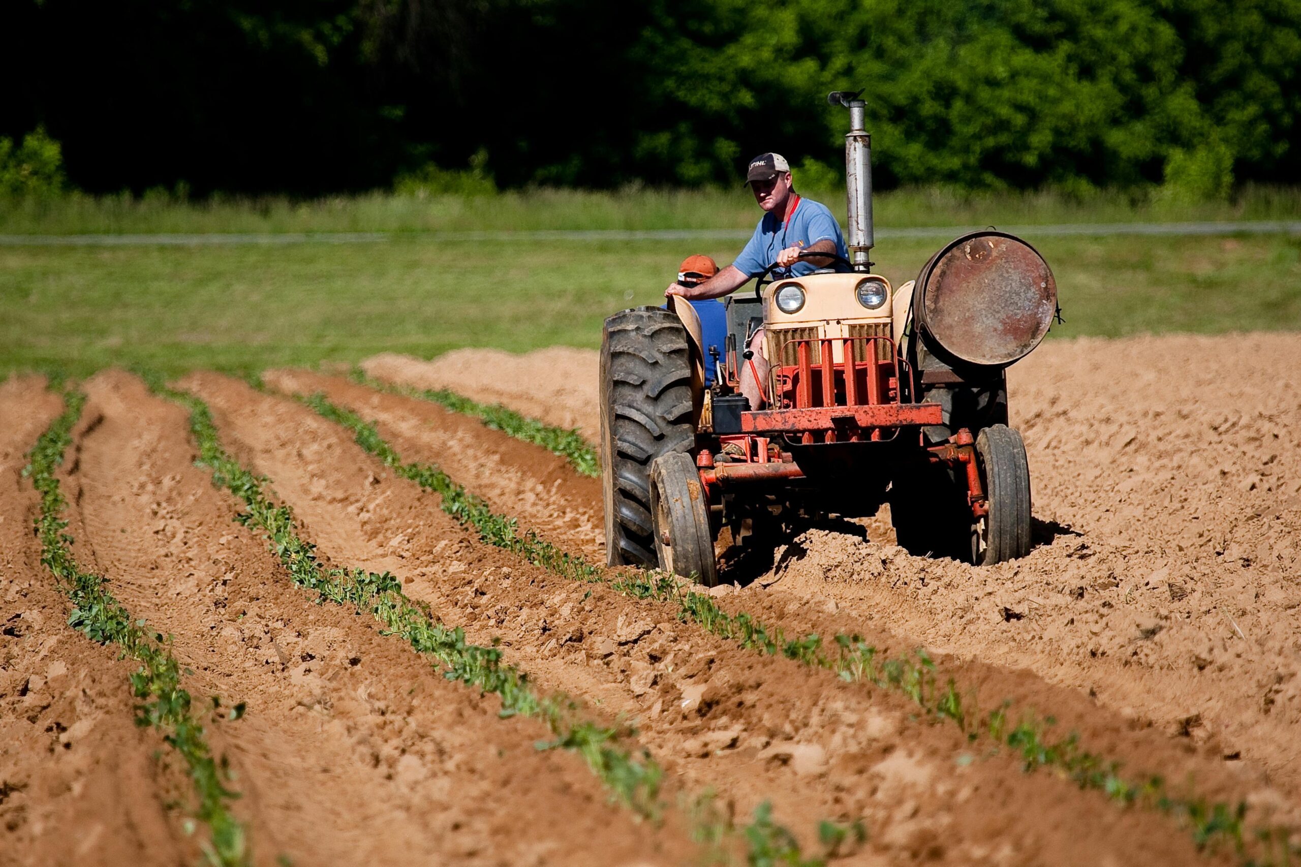 Acordo entre Mercosul e União Europeia amplia acesso a mercados e redefine perspectivas do agronegócio brasileiro