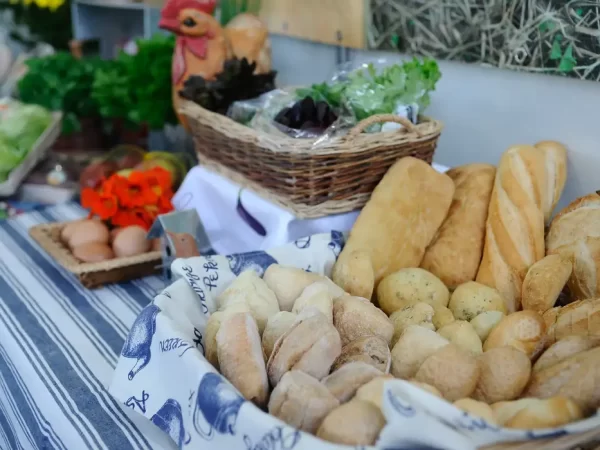 Indústria de alimentos e bebidas cresceu 8% em 2025, diz Abia