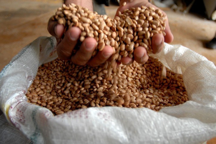 Agro cresce 11,7%, impulsiona PIB e ganha participação na economia