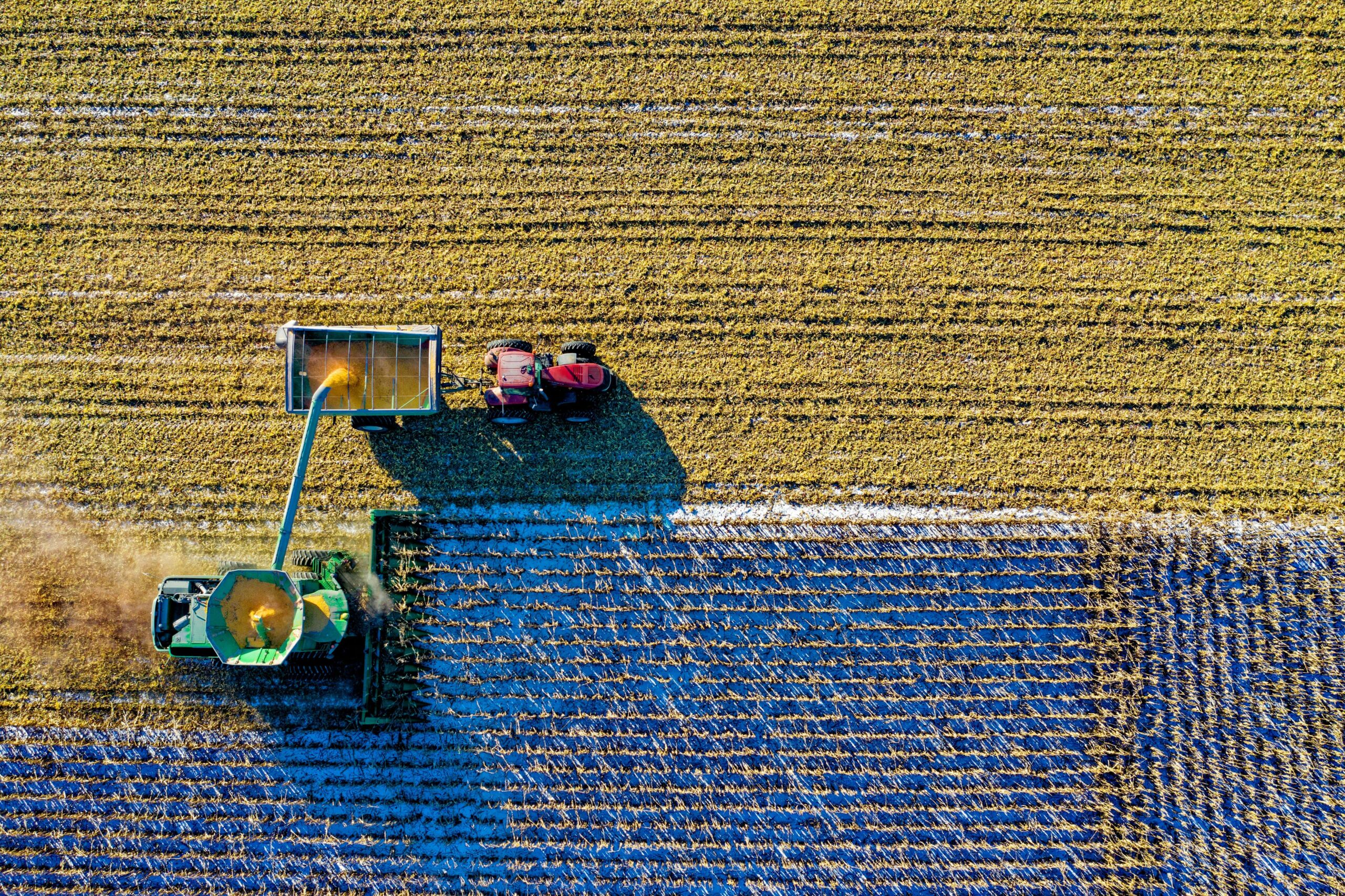 Custos de insumos, crédito e logística: impactos da produção na rentabilidade do produtor rural no Brasil