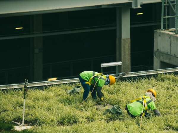 Empregos verdes avançam no Brasil e podem gerar milhões de vagas até 2030