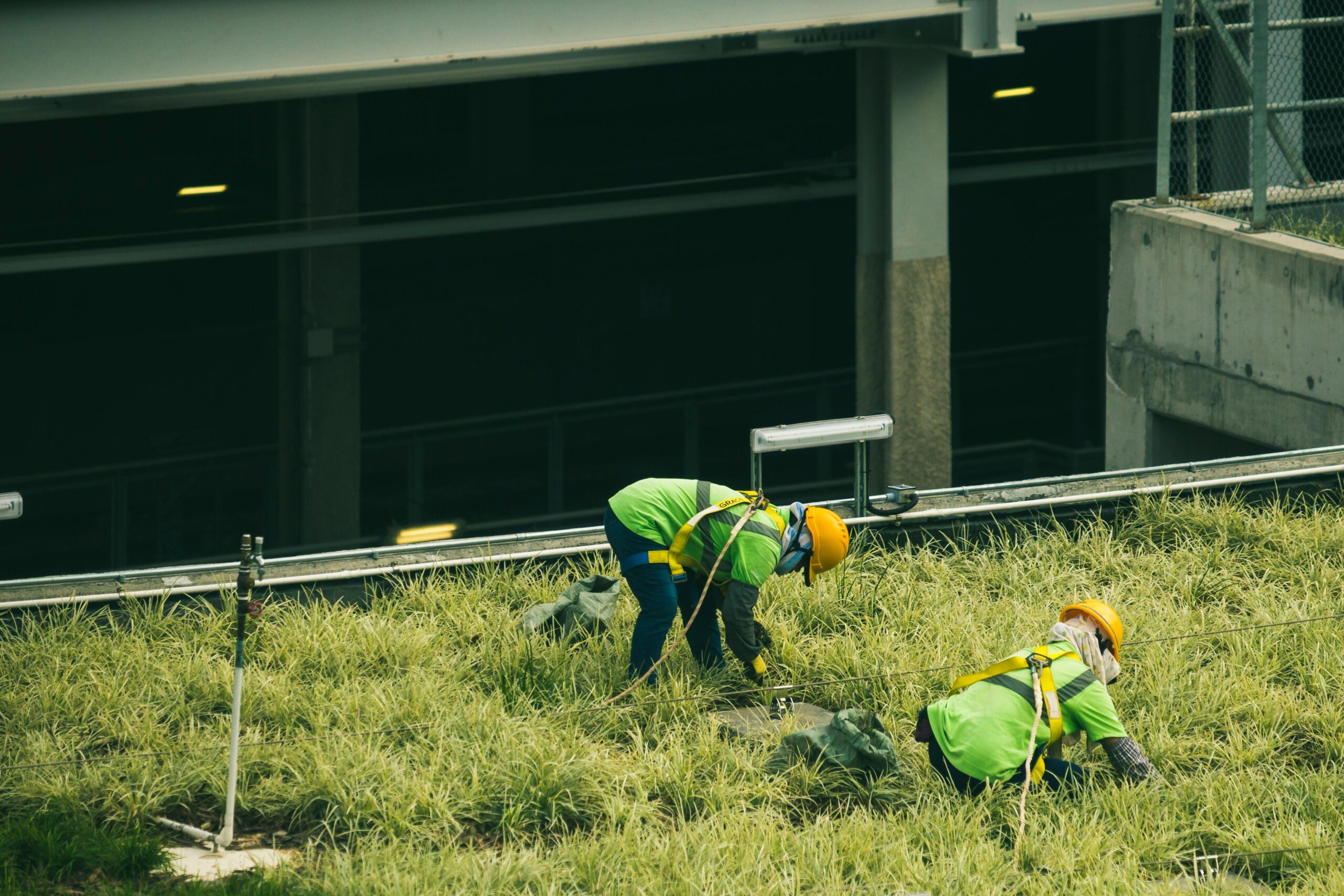 Empregos verdes avançam no Brasil e podem gerar milhões de vagas até 2030