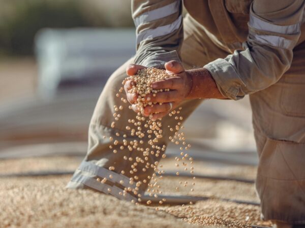 Estudo aponta que crédito caro, câmbio e geopolítica ampliam pressão econômica sobre o agronegócio brasileiro em 2026