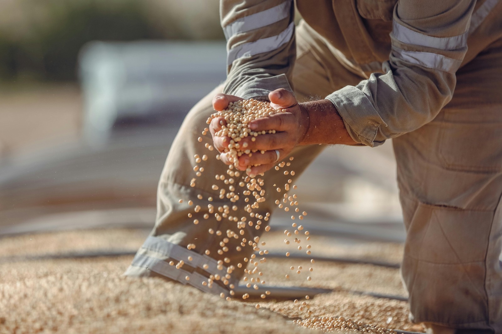 Estudo aponta que crédito caro, câmbio e geopolítica ampliam pressão econômica sobre o agronegócio brasileiro em 2026