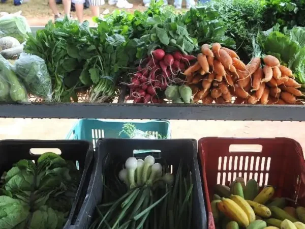 Cenário de ‘tempestade perfeita’ para alimentos preocupa e é risco também para 2027