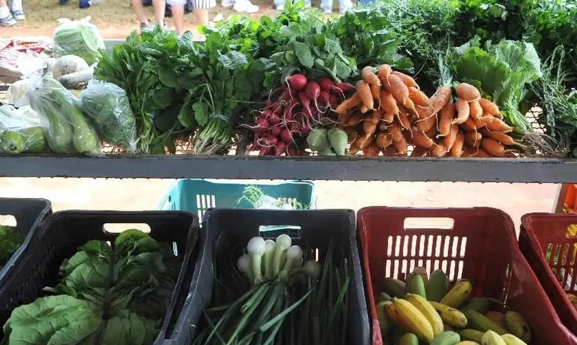Cenário de ‘tempestade perfeita’ para alimentos preocupa e é risco também para 2027