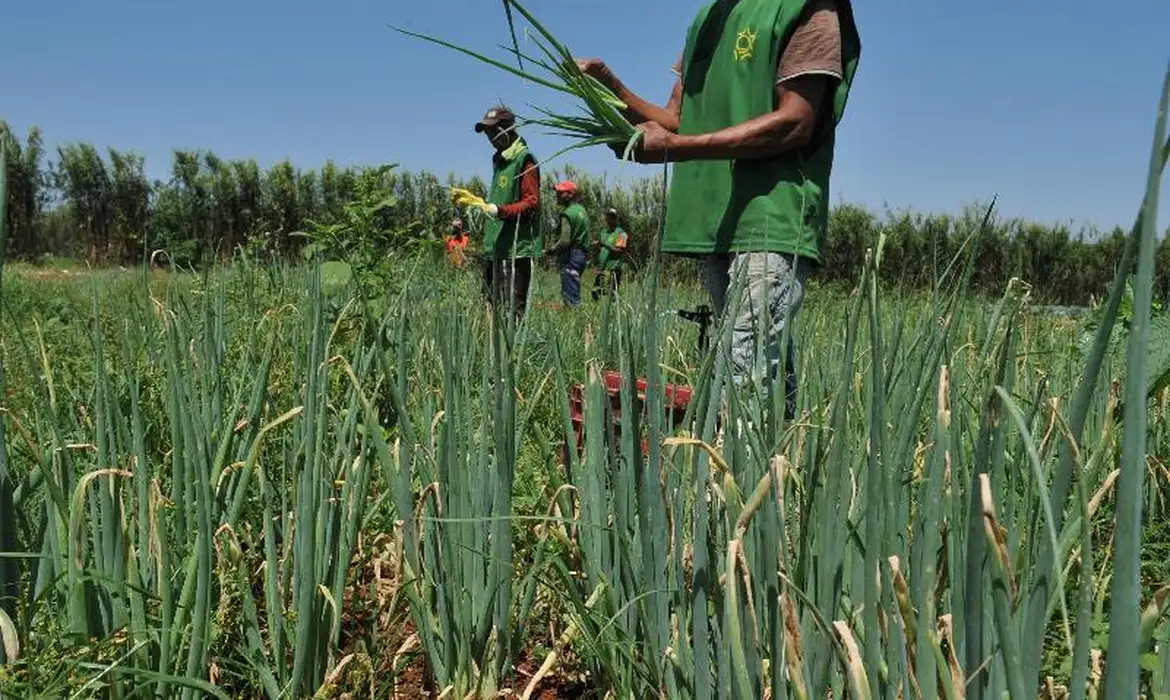 Seguro rural enfrenta desafio com eventos climáticos e baixa cobertura no Brasil