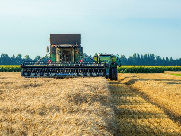 Crédito para inovação no campo: nova linha do FAT amplia acesso de produtores rurais a financiamentos