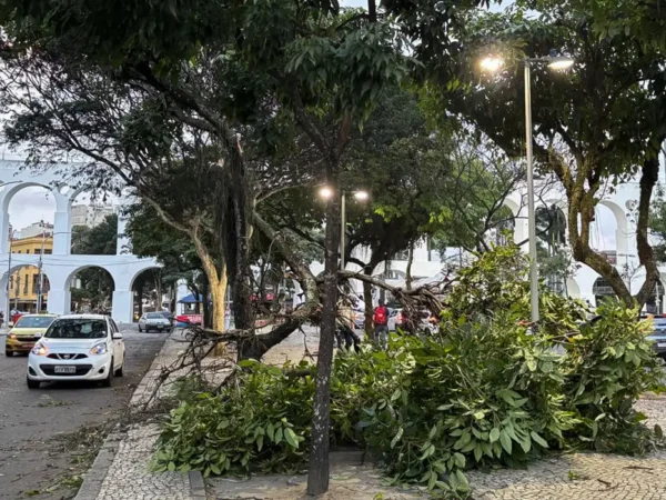Ventania no Rio e em São Paulo amplia prejuízos para infraestrutura, comércio e logística 