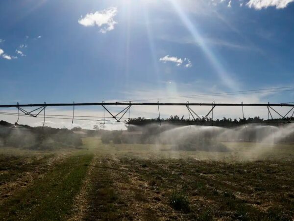 Crescimento do agronegócio amplia busca por planejamento patrimonial e sucessão familiar