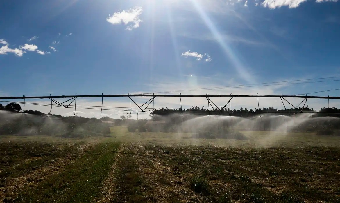 Crescimento do agronegócio amplia busca por planejamento patrimonial e sucessão familiar