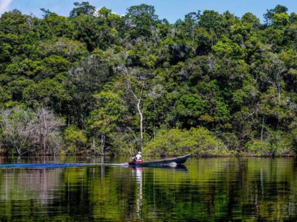 Eco Invest Brasil realiza 5º leilão em agosto para financiar inovação e indústria