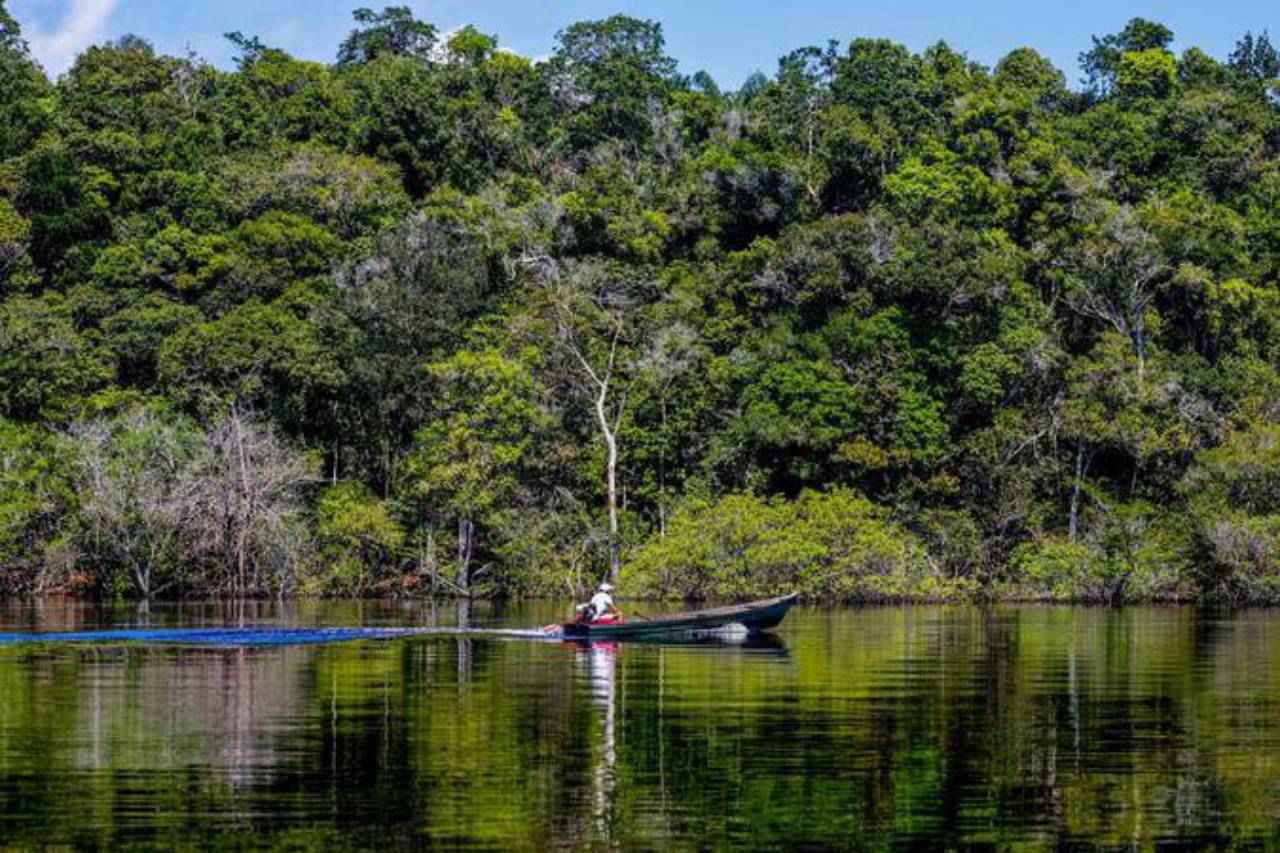 Eco Invest Brasil realiza 5º leilão em agosto para financiar inovação e indústria