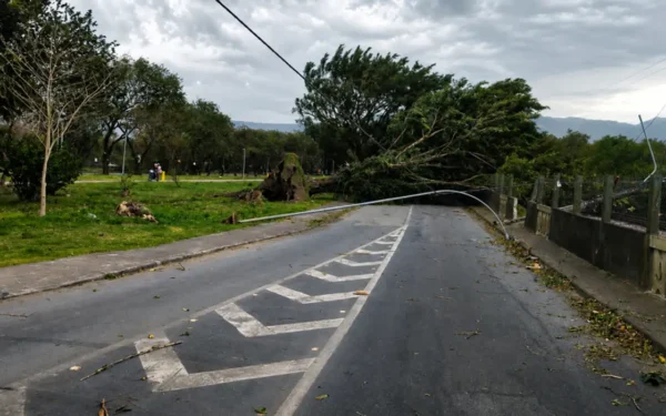 Ventos podem chegar a até 100 km/h em SP nesta sexta-feira; veja previsão