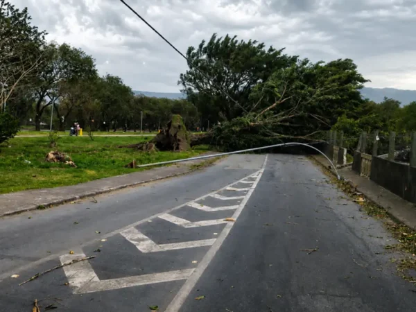 Ventos podem chegar a até 100 km/h em SP nesta sexta-feira; veja previsão