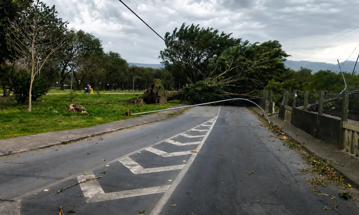 Ventos podem chegar a até 100 km/h em SP nesta sexta-feira; veja previsão