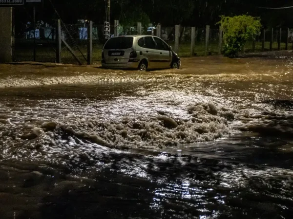 Meio ambiente entra no radar dos eleitores e 91% cobram propostas para enfrentar mudanças climáticas