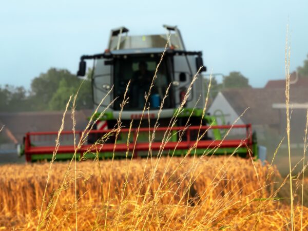 Produção agrícola brasileira superou R$ 927 bilhões em 2025